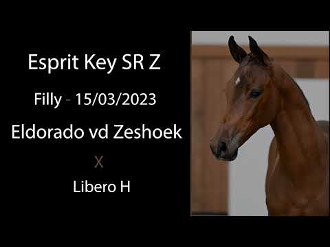 Esprit Key SR Z