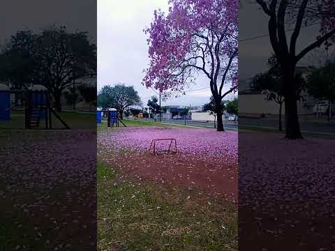 Paranavaí Cidade Poesia PR
