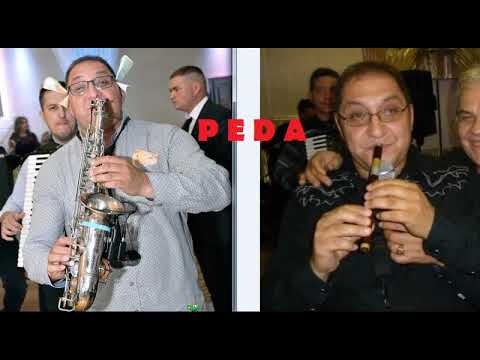PREDRAG JANKOVIC PEDA - SAX I FRULA UZIVO (VlaskiMelos)