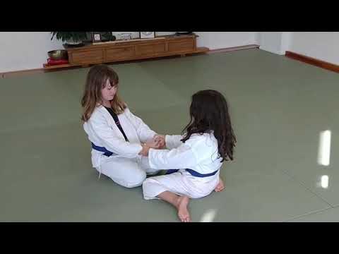 Still Mind Aikido Class Sampler