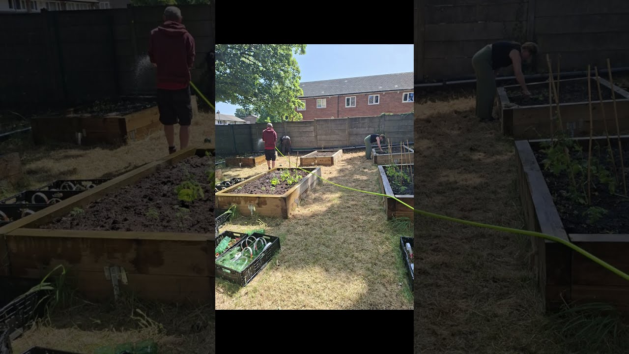 Plot to Plate 20th July 2026