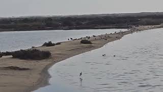 9 Dicembre 2025: ECORuta Tavira--》Luz--》Fuseta--》Olhão, Portugal