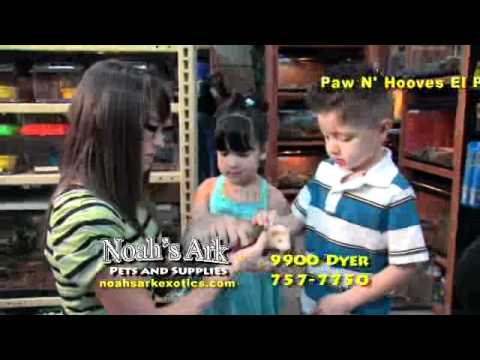 Noah S Ark Pet Store