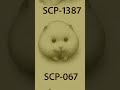 SCP 067 Scp Hamster Scpcommunity Scpfoundation Scpmonsters