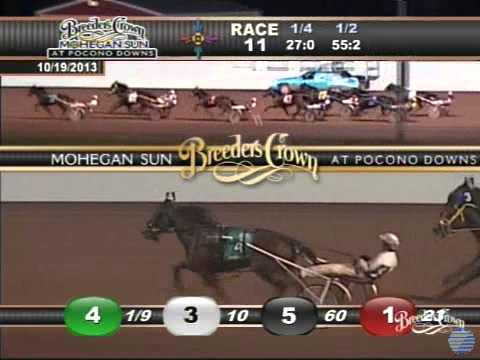 Bee A Magician - 2013 Breeders Crown - Three-Year-Old Filly Trot