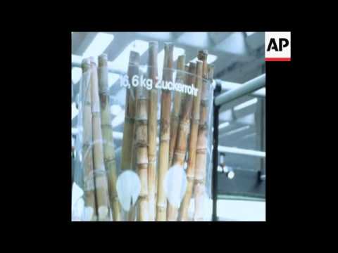 SYND 17 9 79 INTERNATIONAL MOTOR SHOW OPENED IN FRANKFURT