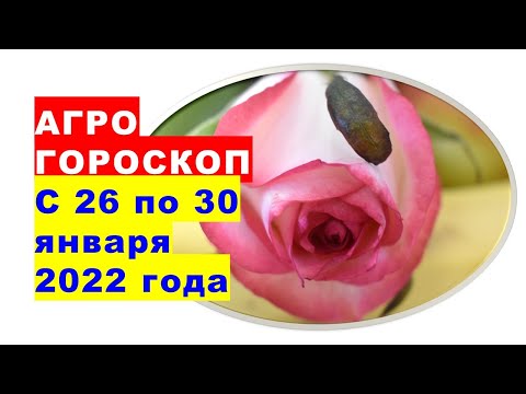, title : 'Агрогороскоп с 26 по 30 января 2022 года'