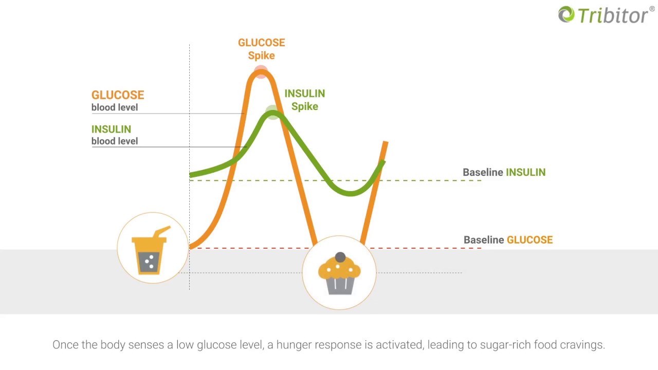 Learn more about What is Tribitor<sup>®</sup>