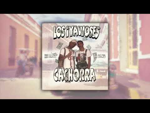 King Badboy X El Yabo - Cachorra 🐶 (Audio Oficial)