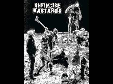 SHITNOISE BASTARDS - Evolved Into Obliteration(Insect Warfare cover)