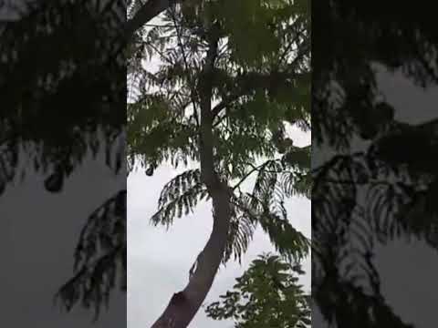 22 de novembro de 2025