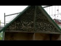 Natuurlijk Flevoland van 06-06-2014