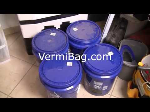 VermiBag  Ep 49   I'll NEVER get all the worms out of my castings :)