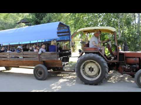 Przejażdżka wozem bonanza - agroturystyka Bora Zdrój