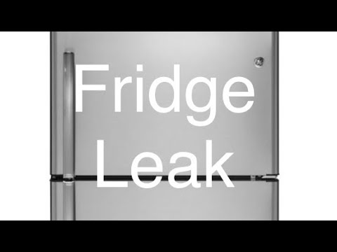 ✨ FREEZER LEAKING INTO REFRIGERATOR - Easy FIX ✨