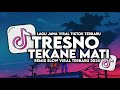 DJ TRESNO TEKANE MATI NDX AKA VIRAL TIKTOK SLOW FULL SONG MAMAN FVNDY 2025