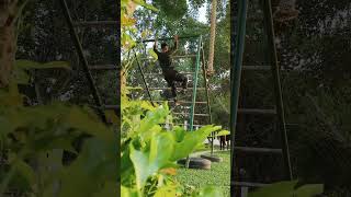 Commando training video #commando #nsg #nsgcommando #indianarmy #specialforces