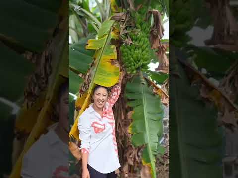 උවමනාව තියේනම් මොනාද කරන්න බැරි 🥭🫒 #youtubeshorts #shorts #shortsfeed