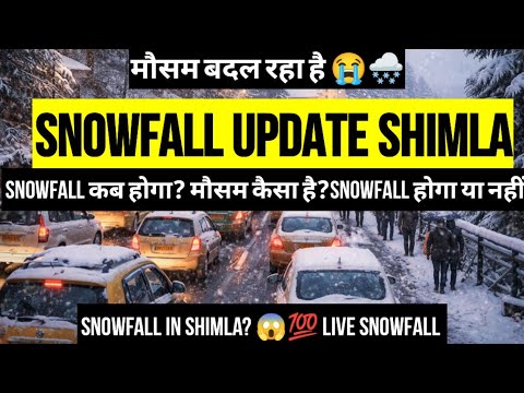 Snowfall update Shimla | Snowfall in Shimla | Shimla weather today | Kufri | Narkanda | Shimla today