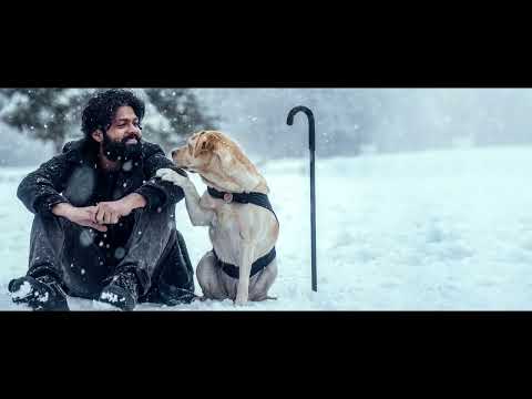 7/21【幸運狗狗來造訪】中文預告