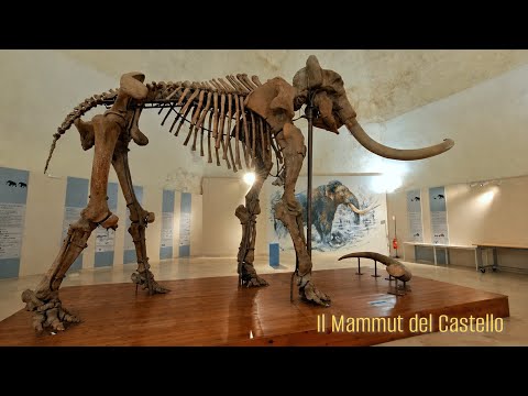 Museo Nazionale d'Abruzzo - Forte Spagnolo | L'Aquila