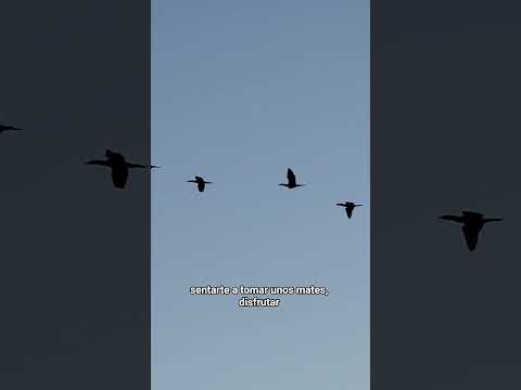 Lago Salto Grande, Concordia, Entre Ríos.