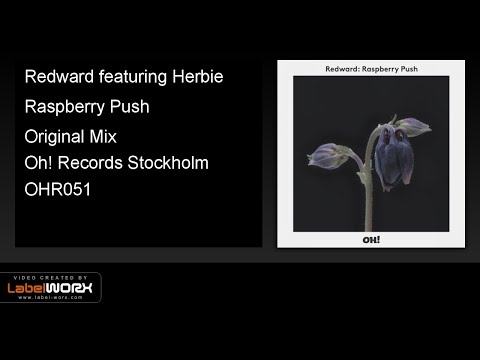 Redward featuring Herbie - Raspberry Push (Original Mix)