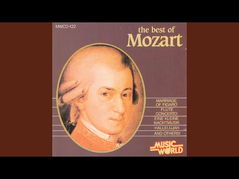 Symphony No. 40 In G Minor K550 Molto Allegro