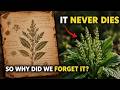This Herb Outlasted Famine, War, and Time — So Why Have You Never Heard of It?