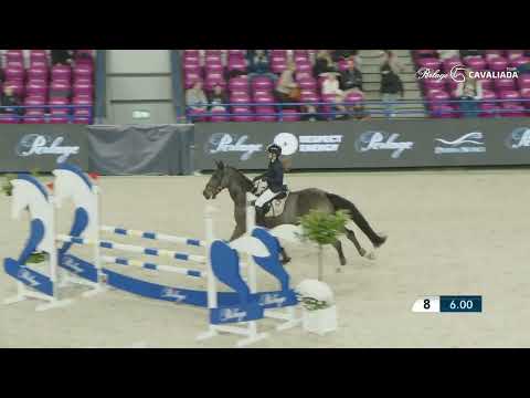 GERALDIEN - Julia Bluj - Cavaliada Warszawa – 6 11 2025