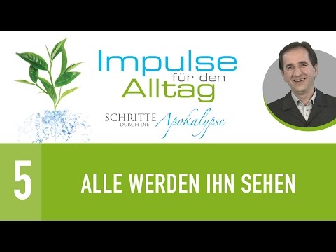 5. Alle werden ihn sehen - Schritte durch die Apokalypse - Peter Zaiser