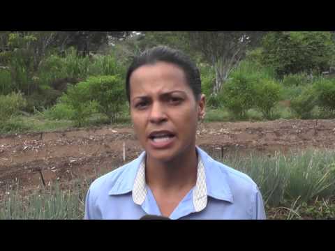 DOCUMENTÁRIO DE RESULTADOS DO PROJETO OLHOS D'ÁGUA DA AMAZÔNIA FASE II FINAL