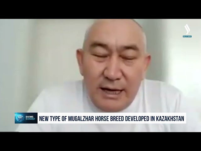 Kazakistan’da yeni bir Mugaljar at cinsi türü tanıtıldı