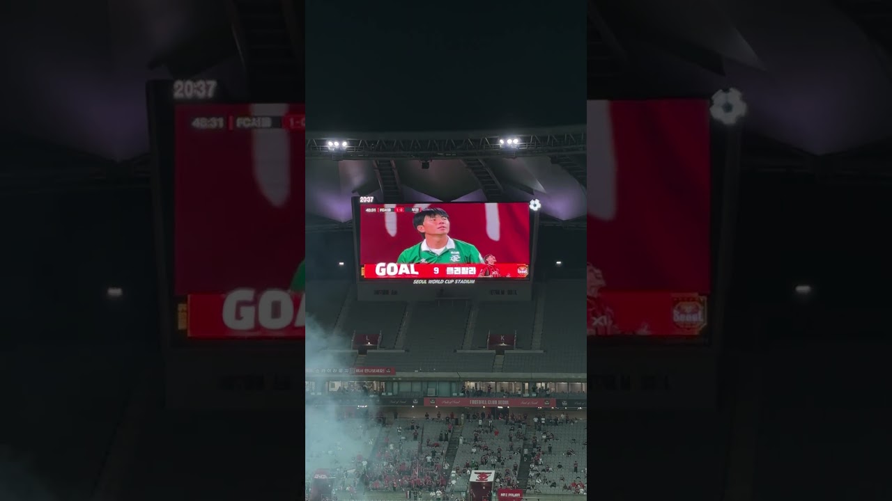 #fcseoul #k리그1 #football #축구 #클리말라골 #fc서울 #soccer
