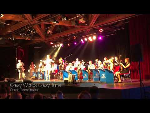 Crazy Words Crazy Tune