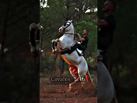 , title : 'Velocity do Cavalo Lusitano para qm pediu 💖 #viral #cavalos #shorts #naoflopa'