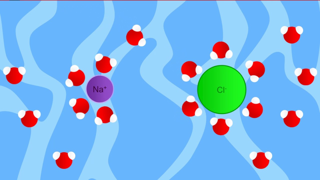 Polarità delle molecole