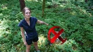 ⛔Verwesungsgeruch im Wald ⛔DAS könnte dein schlimmster Alptraum sein ⚠️ ACHTUNG Trigger