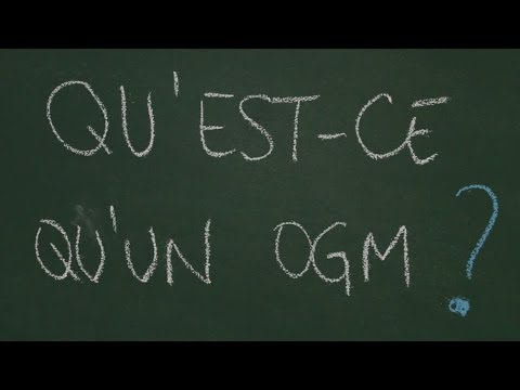 Qu'est-ce qu'un OGM