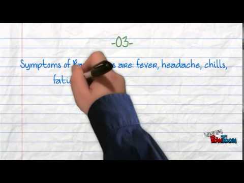 Ravn Virus: Unveiling the Mysteries of a Lethal Pathogen | Vibepedia