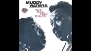 Muddy Waters - 12.Walking Blues