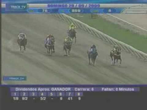 Resumen 20 de Septiembre 2009 - La Rinconada