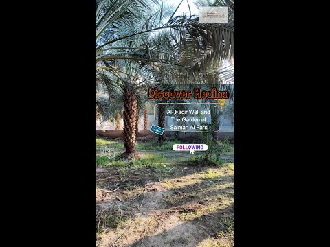 Ramadan in Medina 2024 : Al- Faqir Well and The Garden of Salman Al Farsi 2024  #shorts