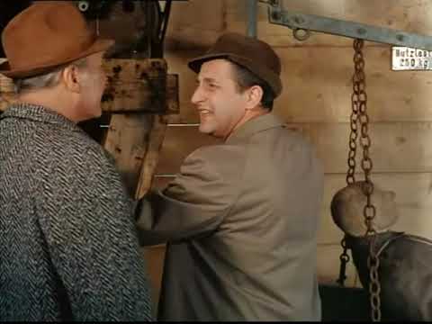 Die seltsamen Methoden des Franz Josef Wanninger - Der Hochzeiter