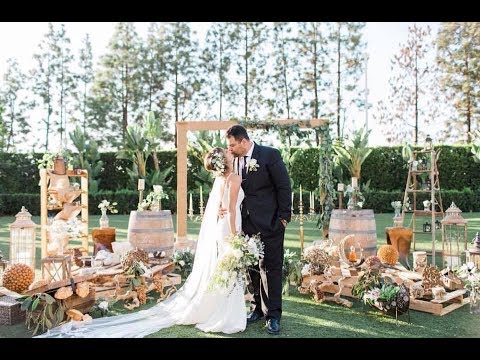 Mehrnessa & Mehrbod Wedding 11.11.2017