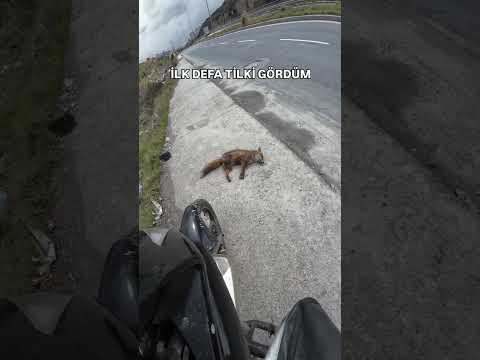 5 Milyon izlenen videodaki komik yorumlar #komikyorumlar #viral #yorumlar #motovlog #shorts #keşfet