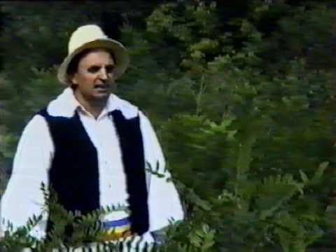 Aurel Budugan - Viata, viata grea mai esti.