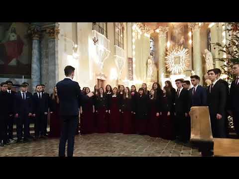 Liceul Teologic Adventist din Bucuresti - Concert de Craciun Basilica Maria Radna .5