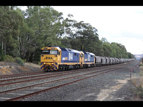 Pacific National 2KC5 Grain Train from Western Victoria with 8144 8172 - Australian Trains