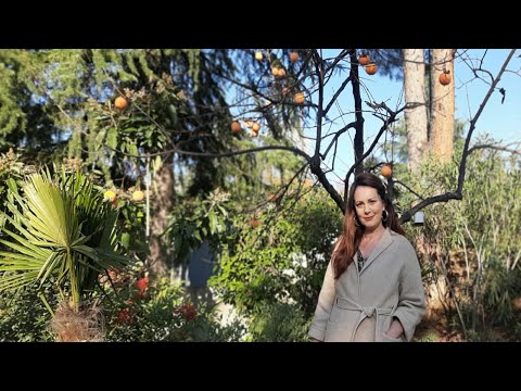 Vitrina e librit/ Surprizat me titujt e rinj te kesaj jave: Hillary Mantel dhe Gerard de Nerval